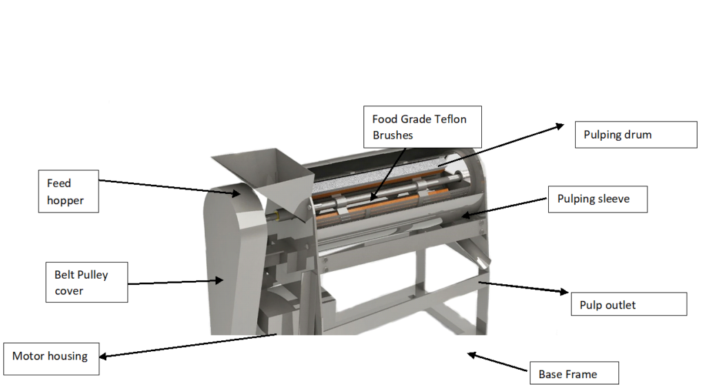 Fruit Pulper- Detailed